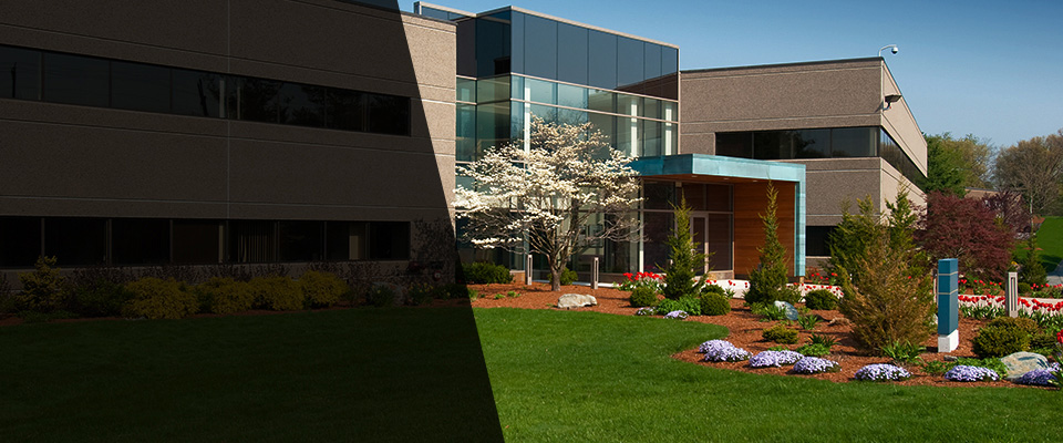 Mount Clemens Landscapers