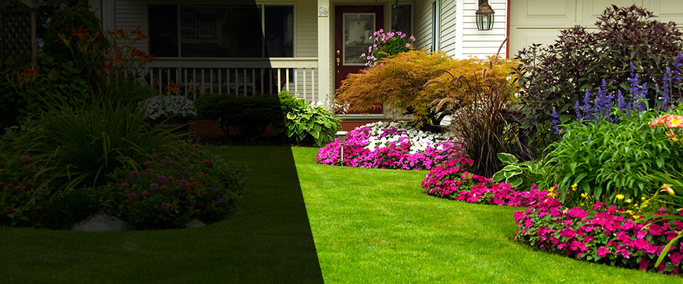 Mount Clemens Landscapers