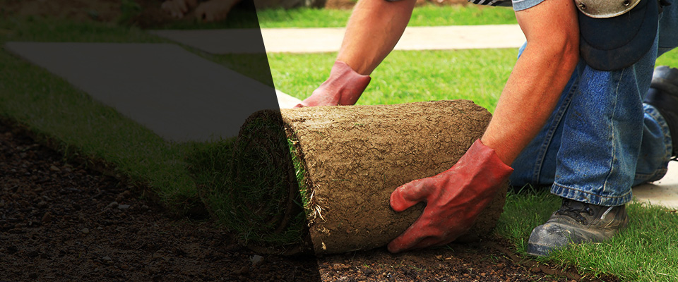 Mount Clemens Landscapers